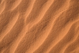 Sand ripples and tracks