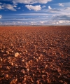 Gibber desert, South Australia