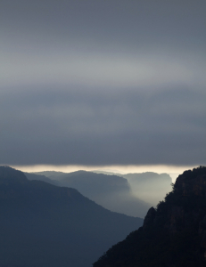 Grey dawn, Wolgan Valley