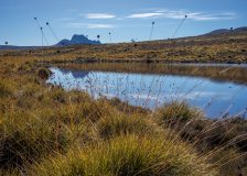 Distant Cradle Mountain and moorland tarn