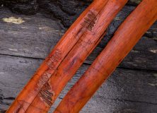 Alpine Ash bark, Mt Bogong