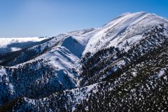Forested slopes, Mt Feathertop