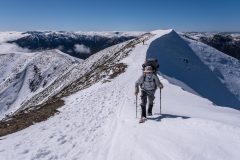 To the top, Mt Feathertop