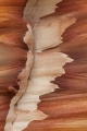 Sandstone weathering pattern
