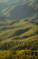 Valley of Bullawa Creek, Mount Kaputar National Park