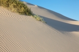 Dune face, Mungo National Park