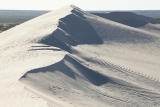 Dune-top, Mungo National Park