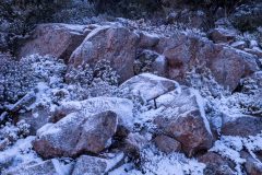 Dolerite boulders in snow