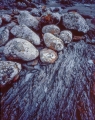 Wave-piled boulders, West Coast